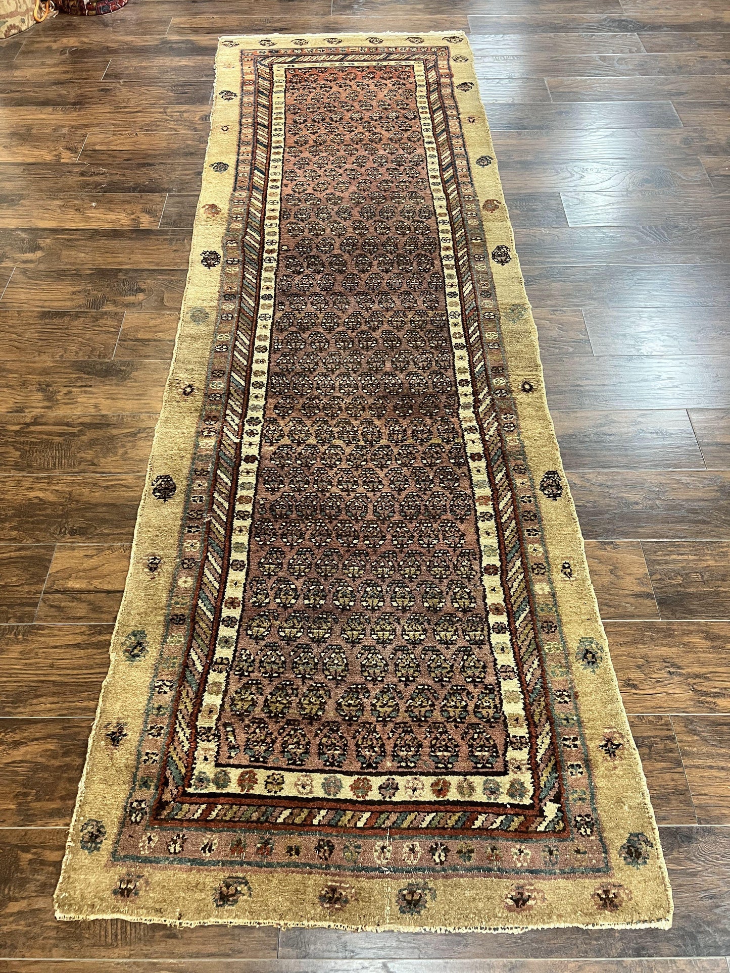 Antique Persian Sarab Runner Rug 3x11, Wool Camel Hair, Tribal Carpet for Hallway 3 x 11, Antique 1920s Rug, Handmade