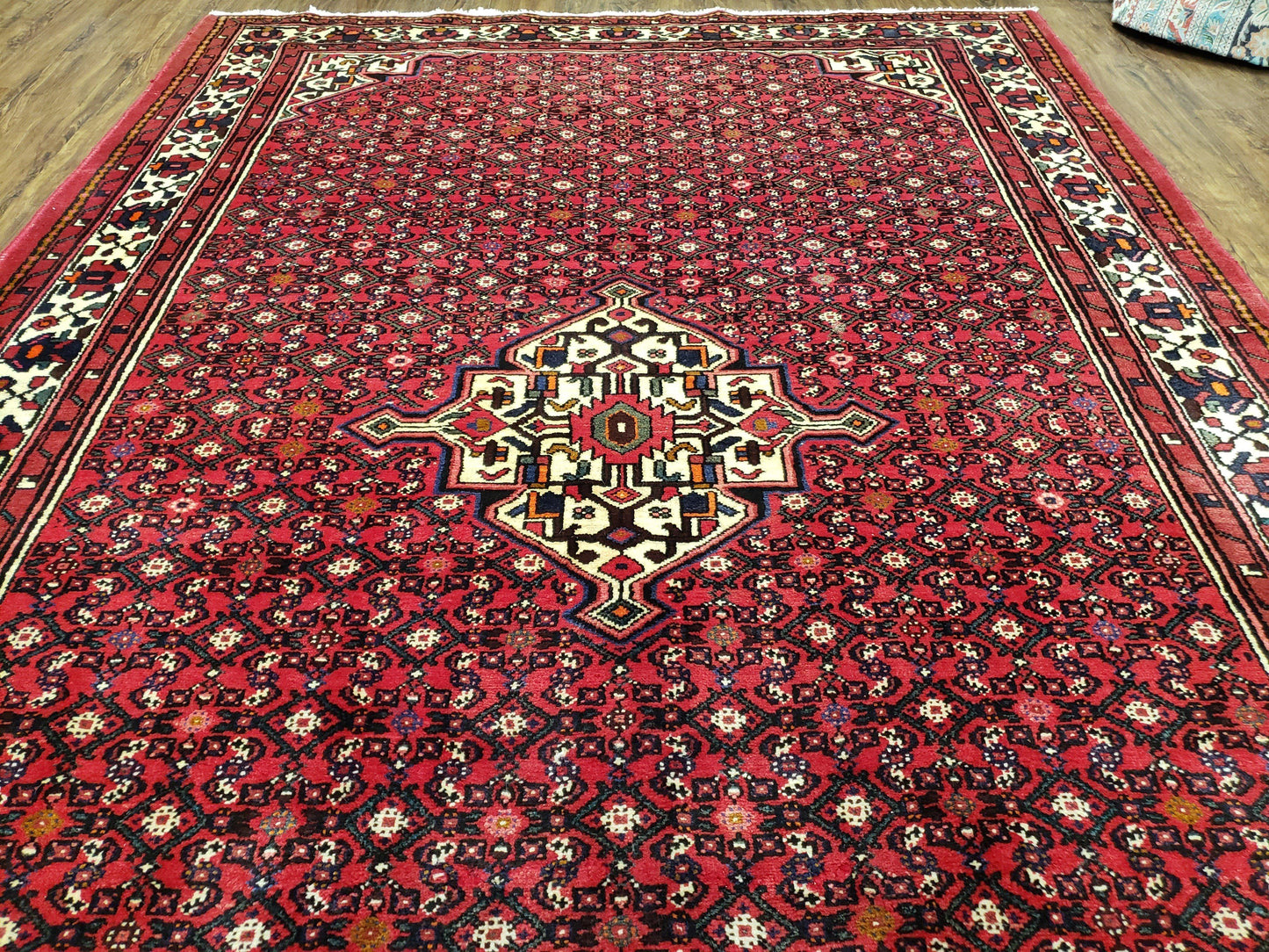 Vintage Persian Hamedan Rug 7x10, Angelas Mahi Pattern, Red, Wool, Hand-Knotted