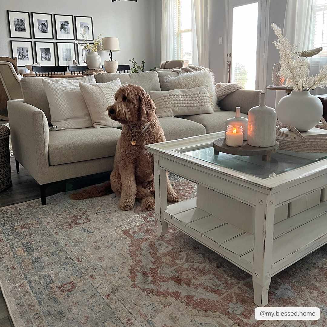 Washable Flat Pile Area Rug - Soft Durable Modern Home Decor