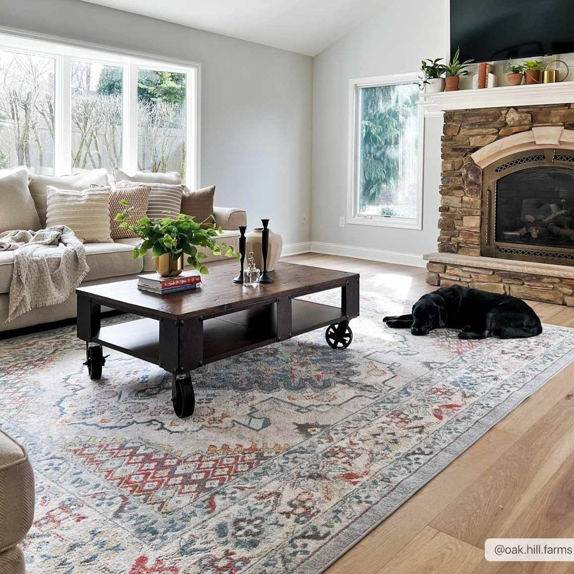 Modern Area Rug - Soft Durable Home Décor