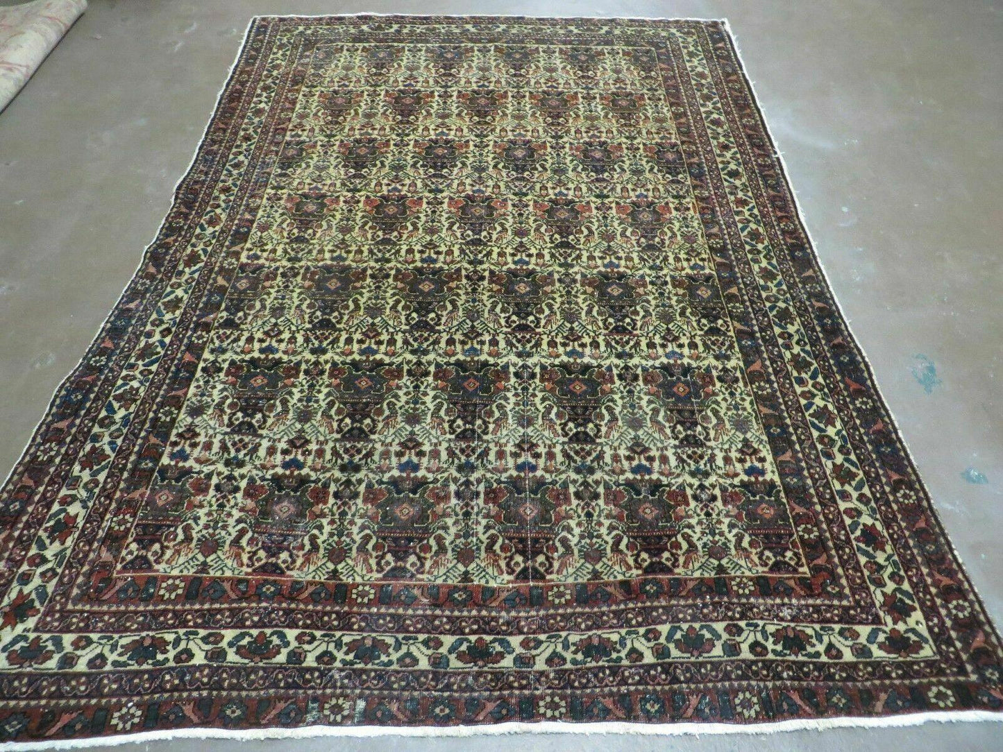 Persian Afshar Rug Wool Hand Knotted 5x7