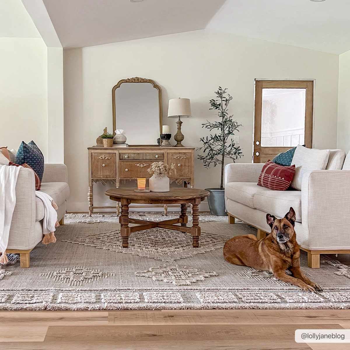 Bohemian Area Rug - High-Low Rustic Design for Cozy Home Décor