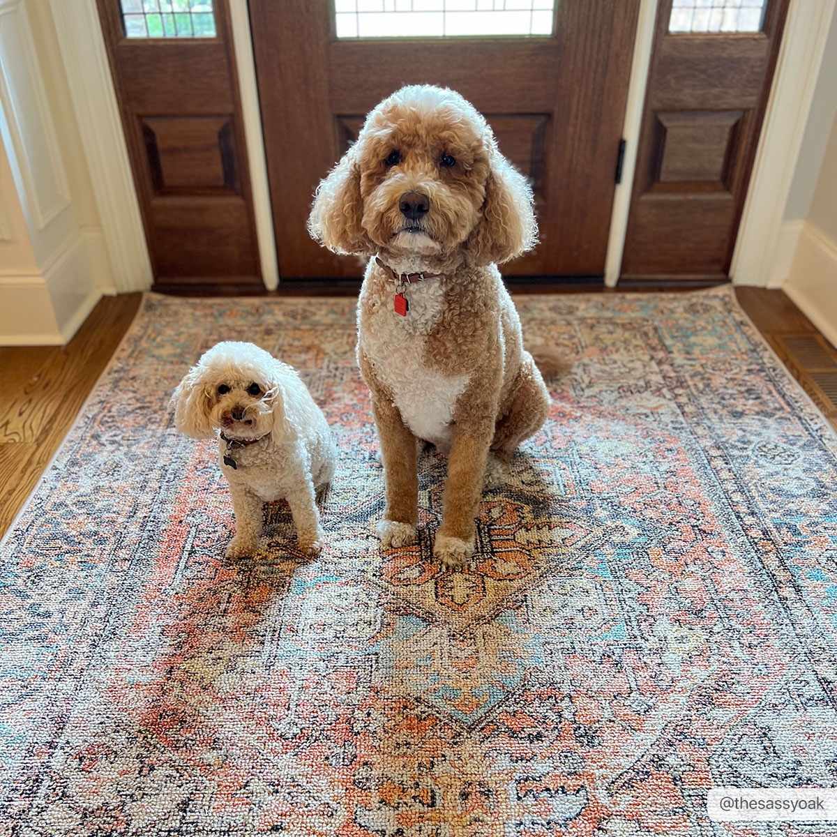 Non-Slip Washable Area Rug - Stylish Durable Home Decor
