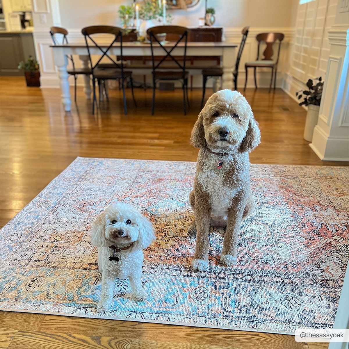 Non-Slip Washable Area Rug - Stylish Durable Home Decor