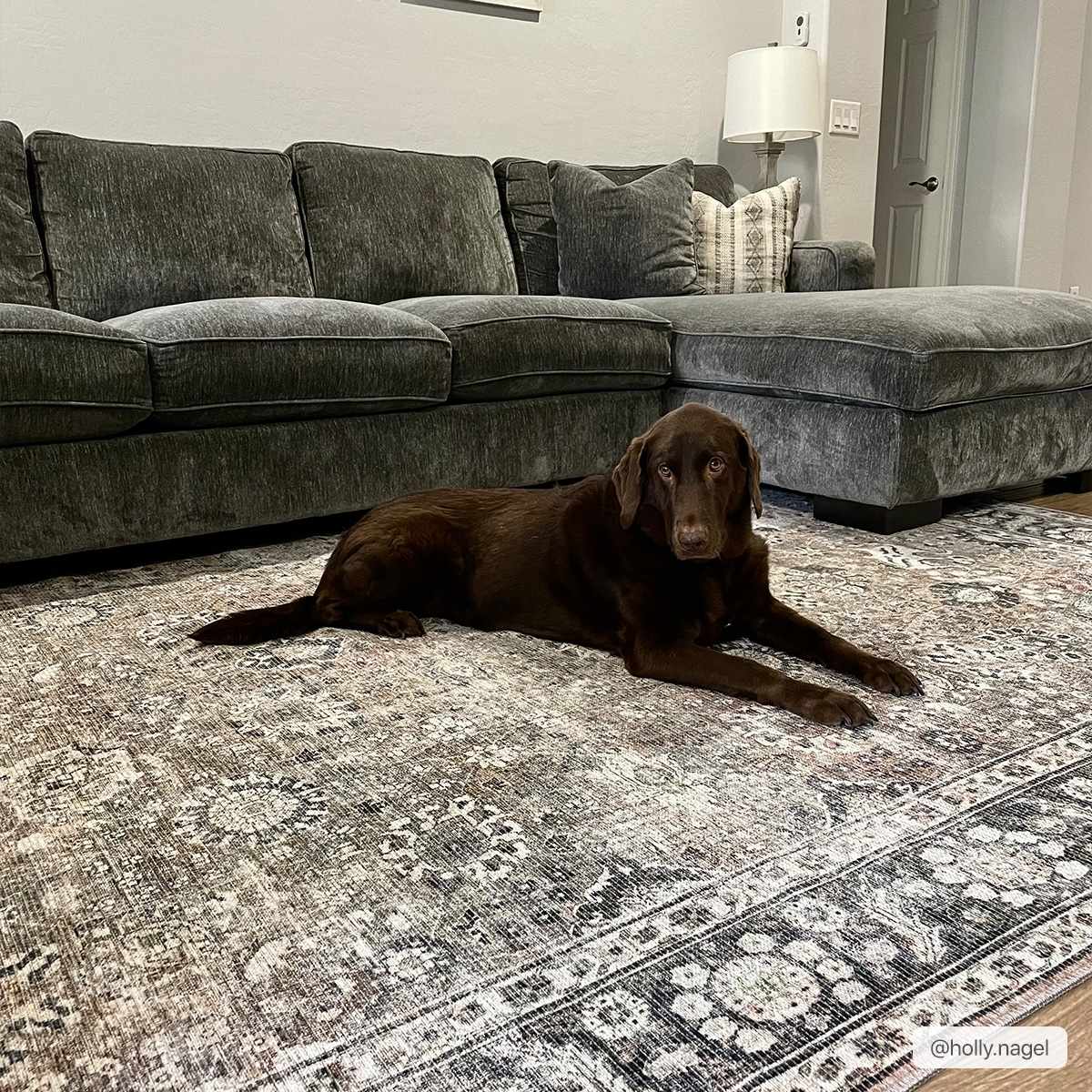 Washable Area Rug - Soft Durable Stylish Home Décor
