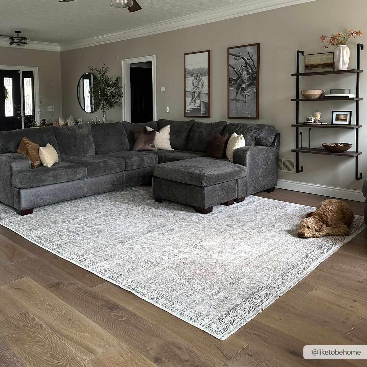 Washable Cream Area Rug - Soft Stylish Home Decor