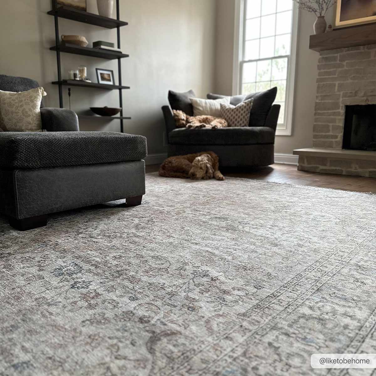 Washable Cream Area Rug - Soft Stylish Home Decor