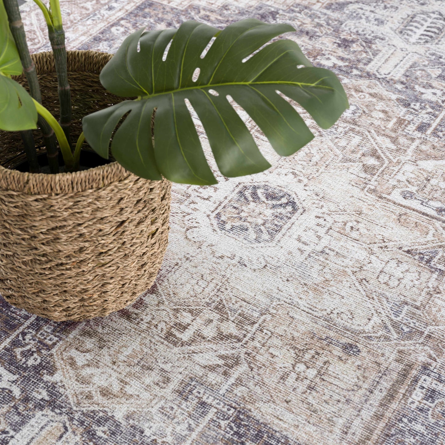 Beige Washable Area Rug - Limited Edition Stylish Home Décor