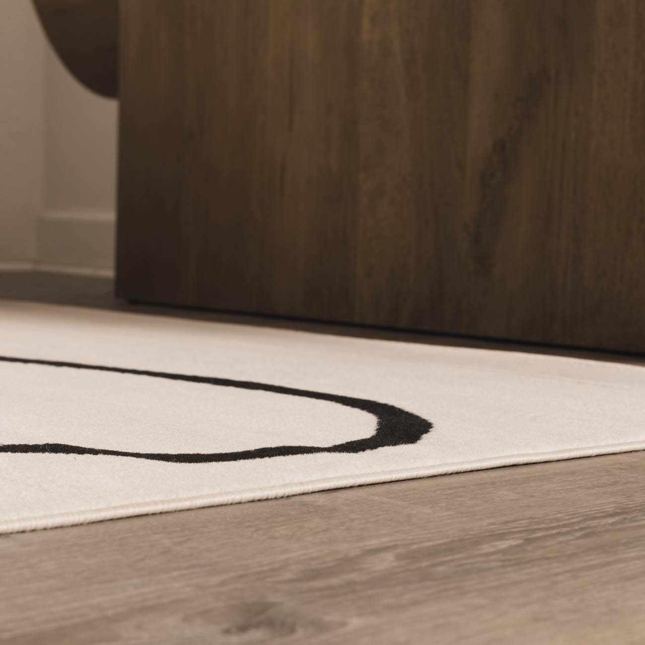 Boho Area Rug - Eilir Modern Low Profile Design for Stylish Interiors