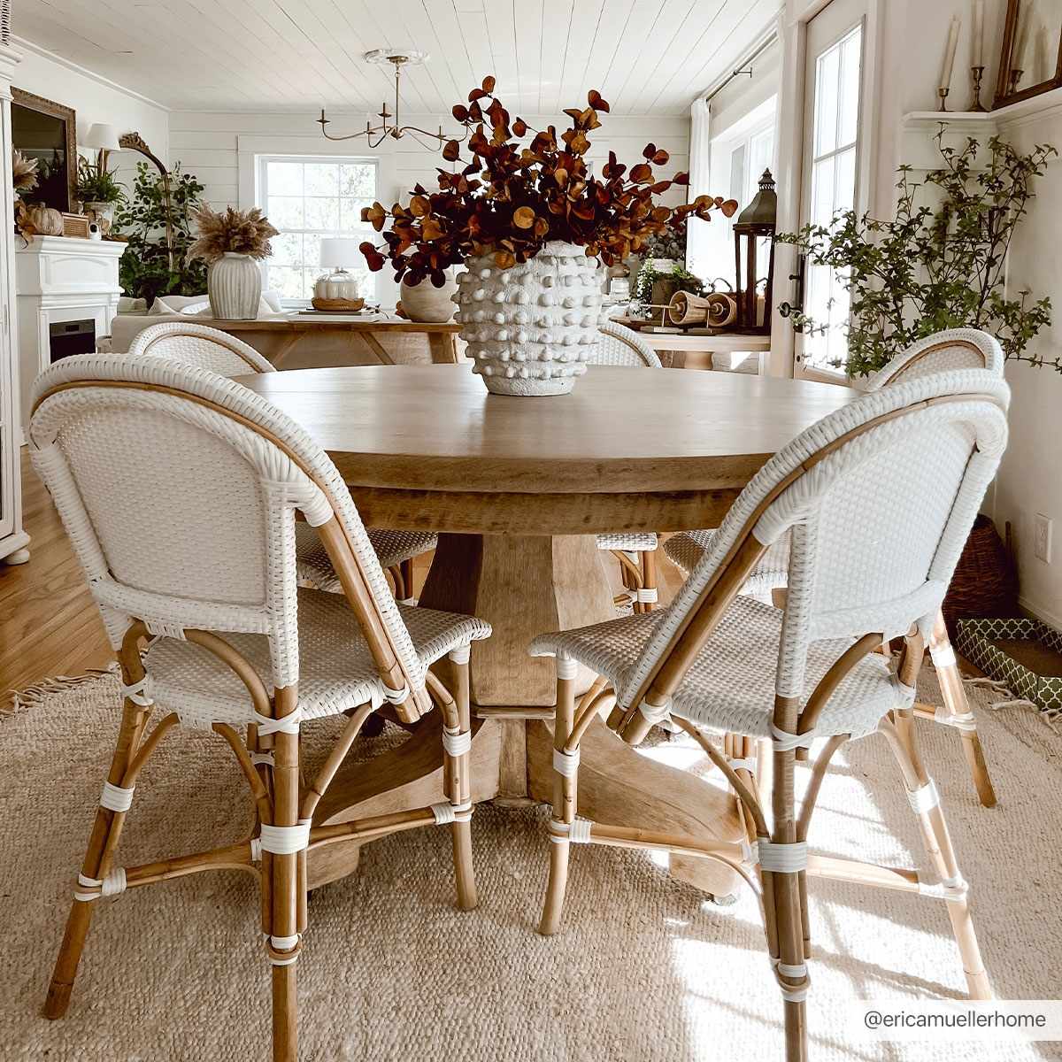 Iantha Jute Area Rug - Eco-Friendly Natural Fiber Floor Decor