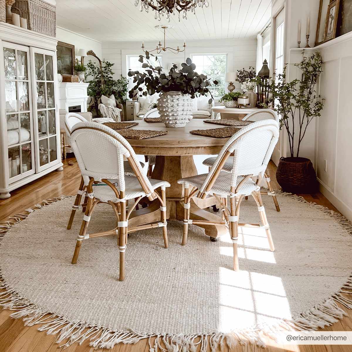 Iantha Jute Area Rug - Eco-Friendly Natural Fiber Floor Decor