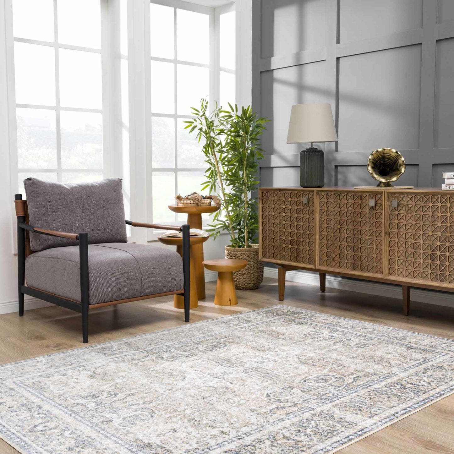Washable Flat Pile Area Rug - Soft Durable Stylish Rug for Any Room