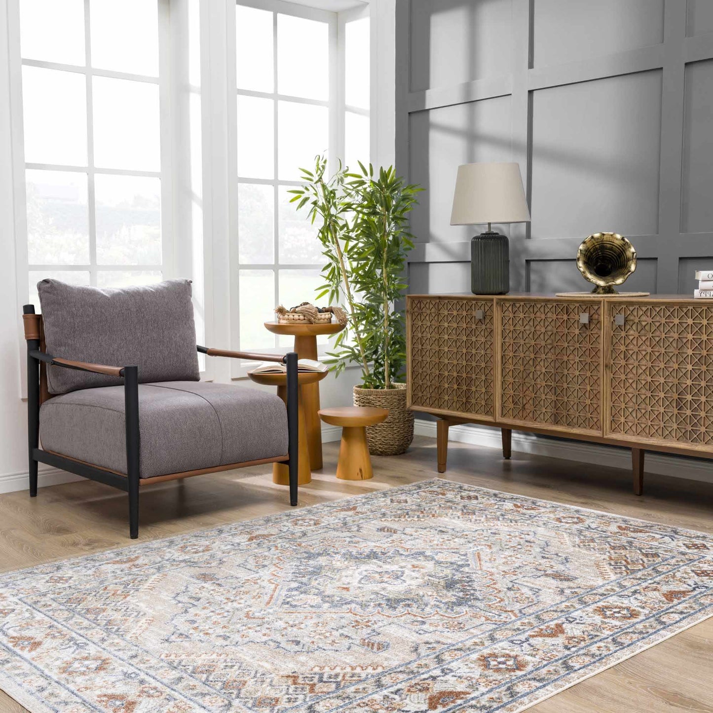 Washable Flat Pile Area Rug - Stylish Easy to Clean