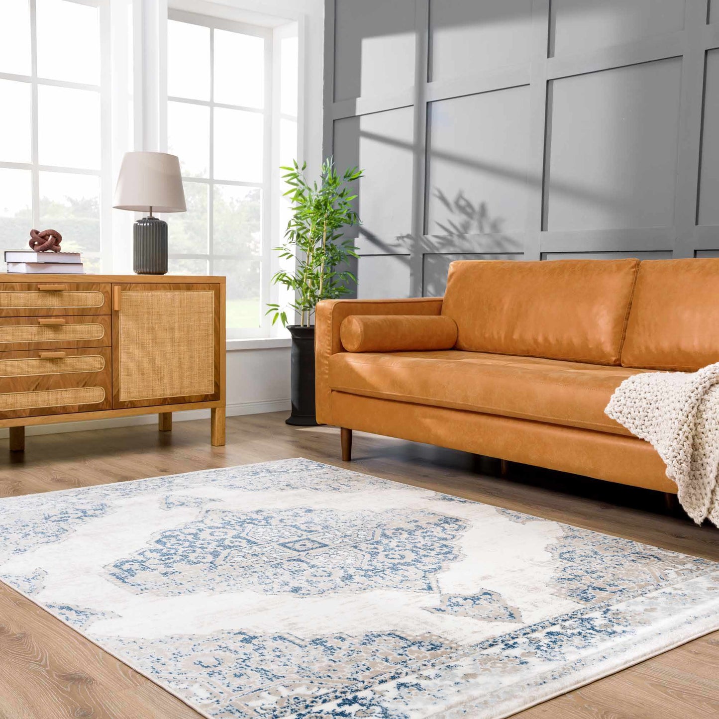 Amir Area Rug - Stylish Modern Home Decor Clearance
