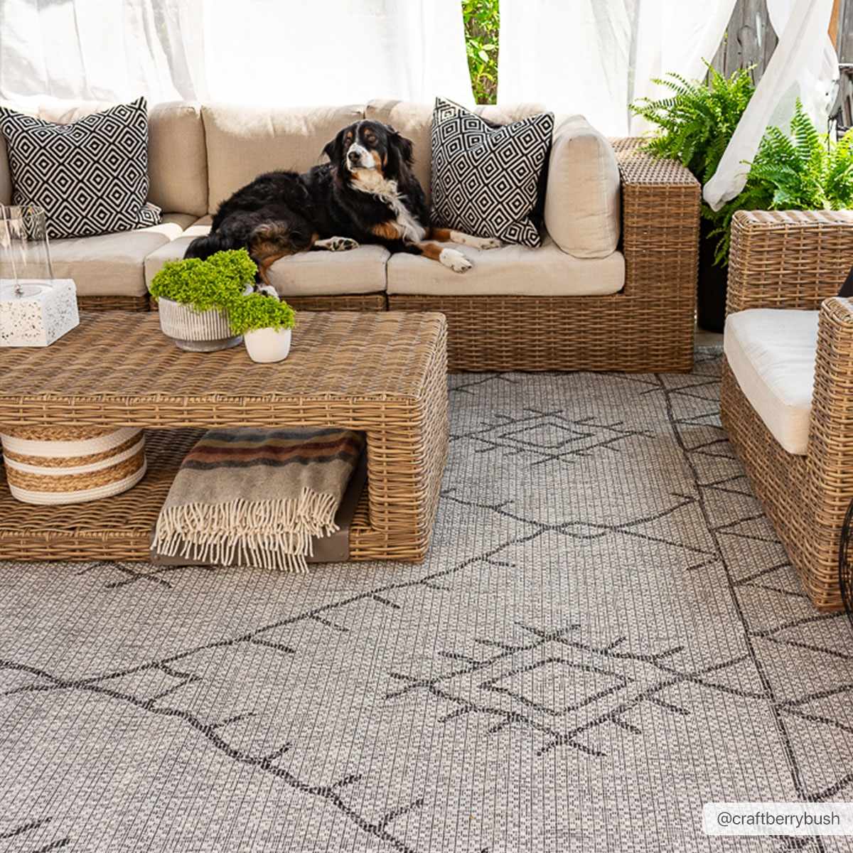 Nordic Area Rug - Stylish Durable Eco-Friendly Home Decor