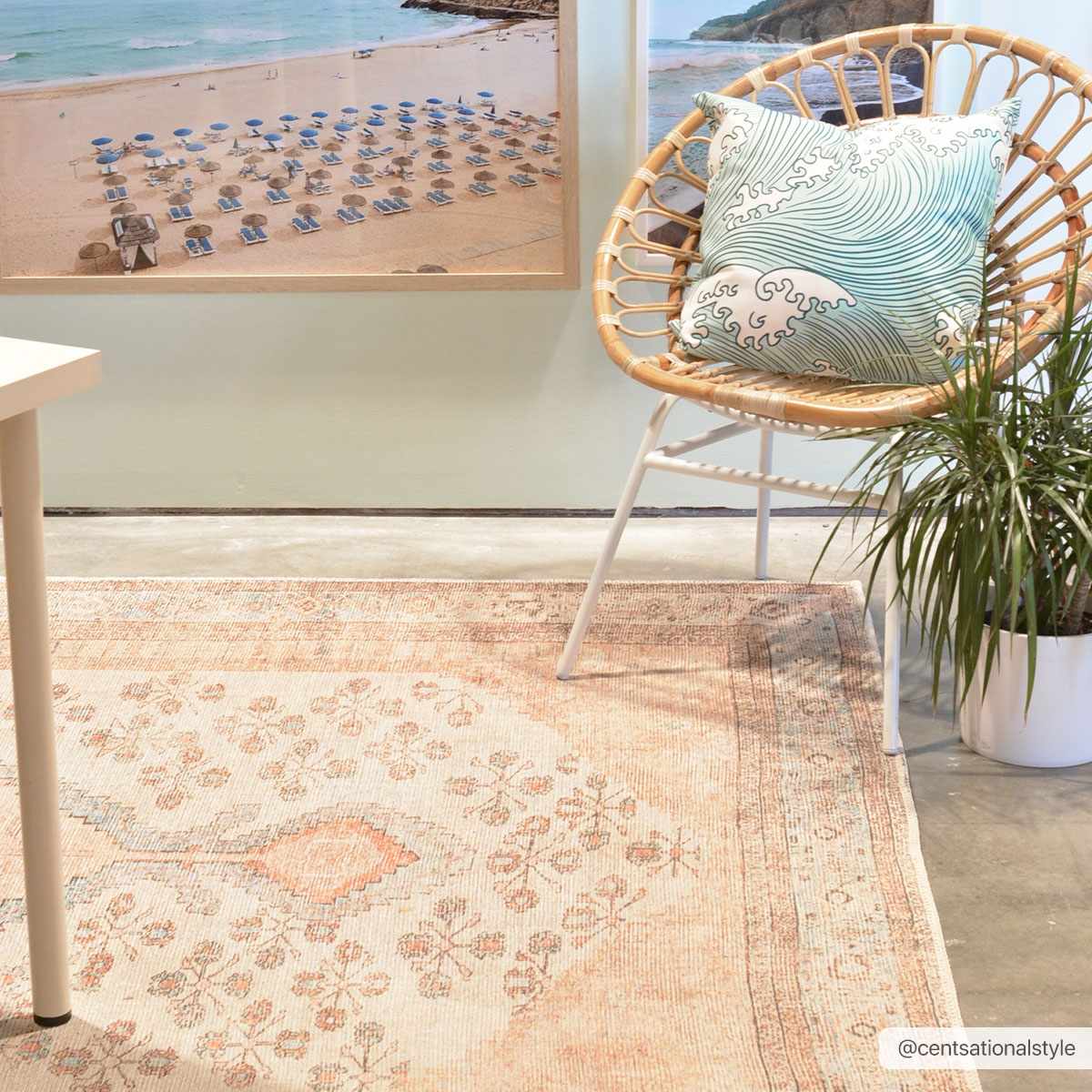 Washable Area Rug - Soft Durable Stylish Home Décor