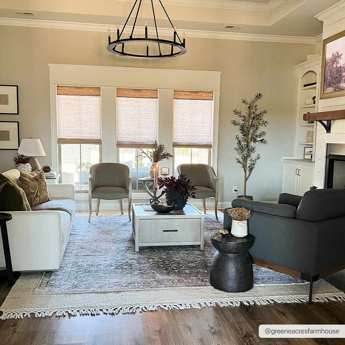 Olive Area Rug - Washable Soft Stylish Home Decor