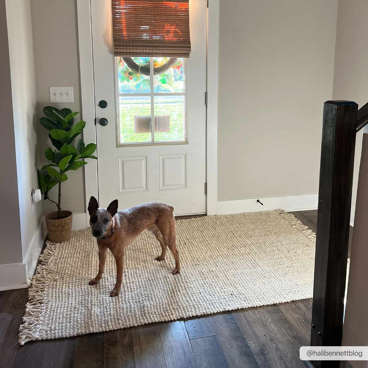 Bleached Jute Area Rug - Eco-Friendly Stylish Home Decor