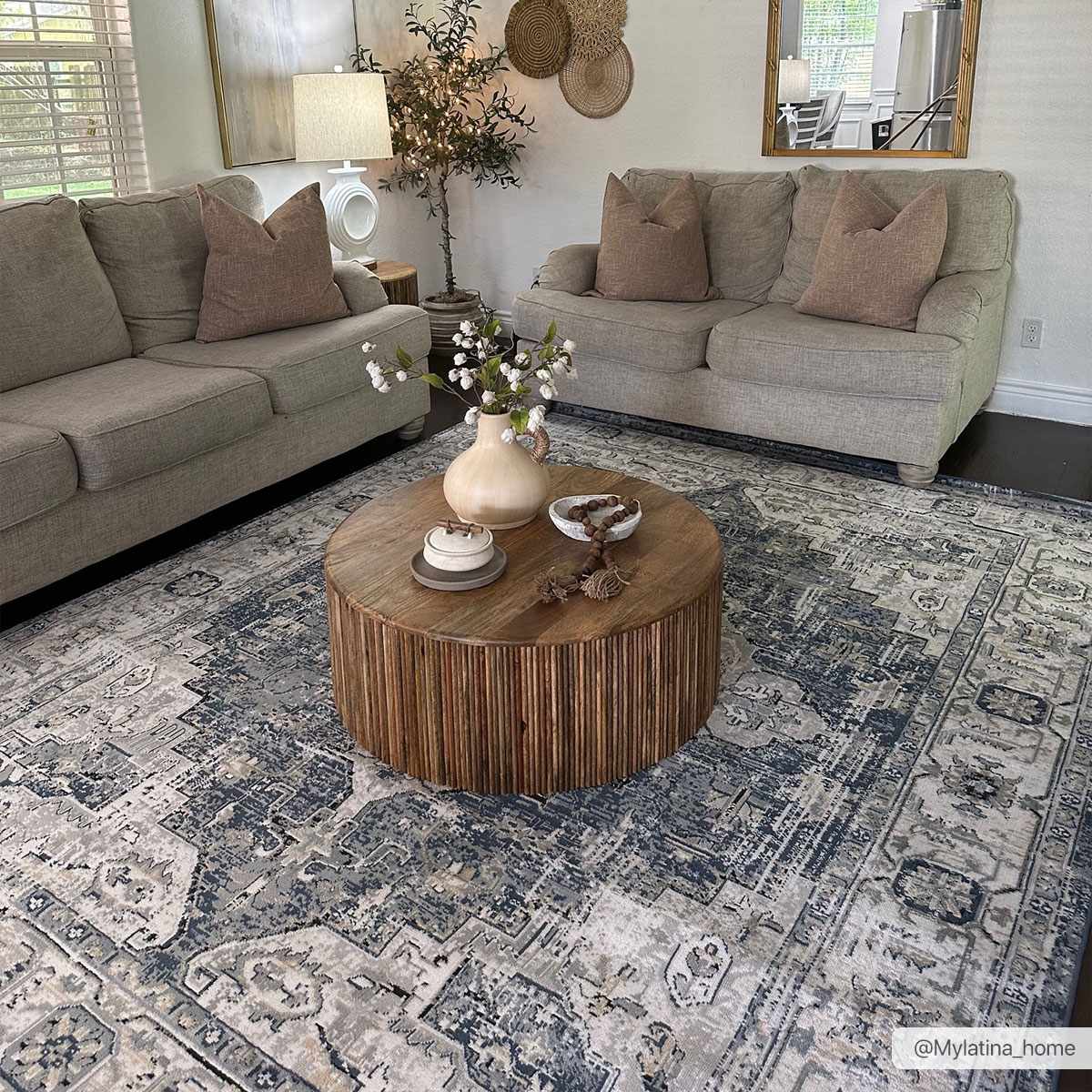 Telina Area Rug - Soft Durable Stylish Floor Covering