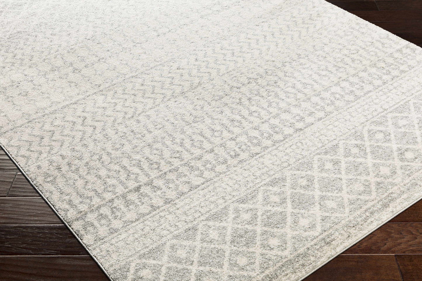 Gray Area Rug - Modern Cozy Living Room Decor