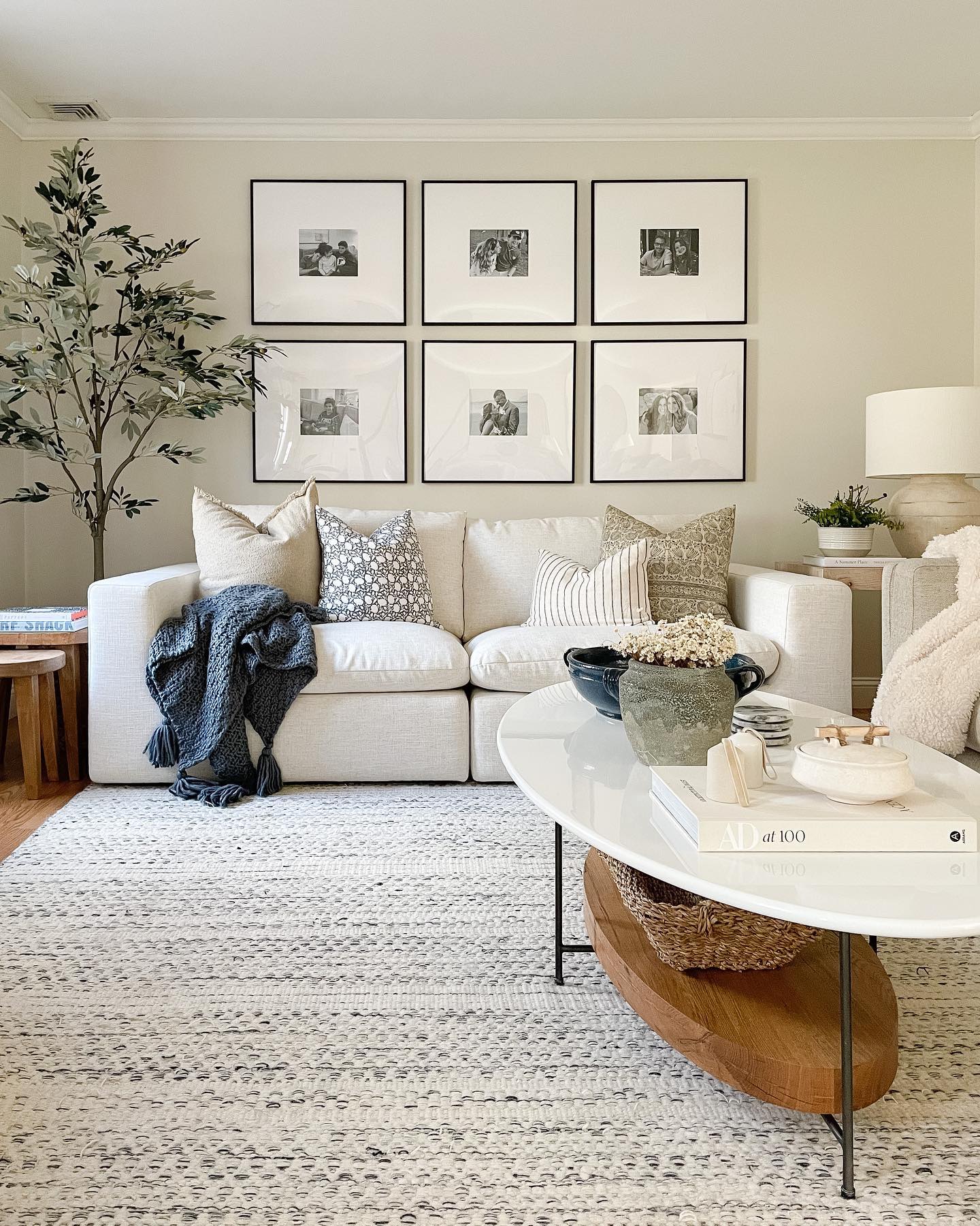 Williford Wool Area Rug - Soft Durable Stylish Home Decor