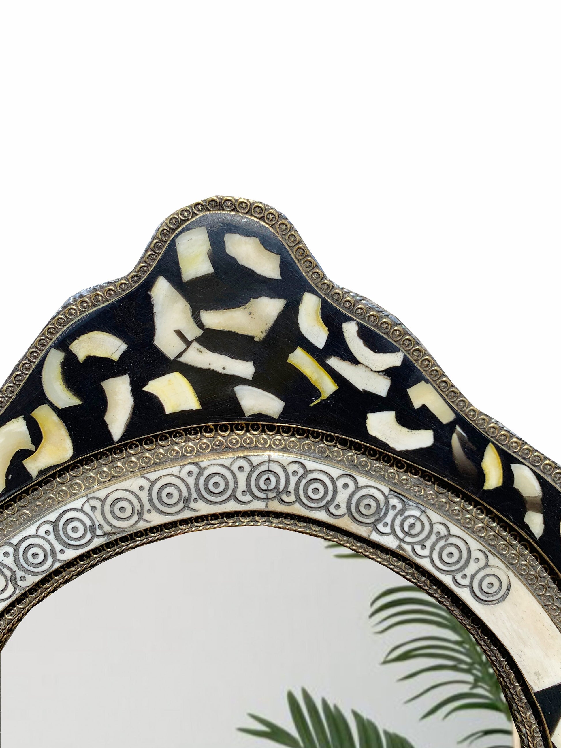 a mirror that has a plant in it