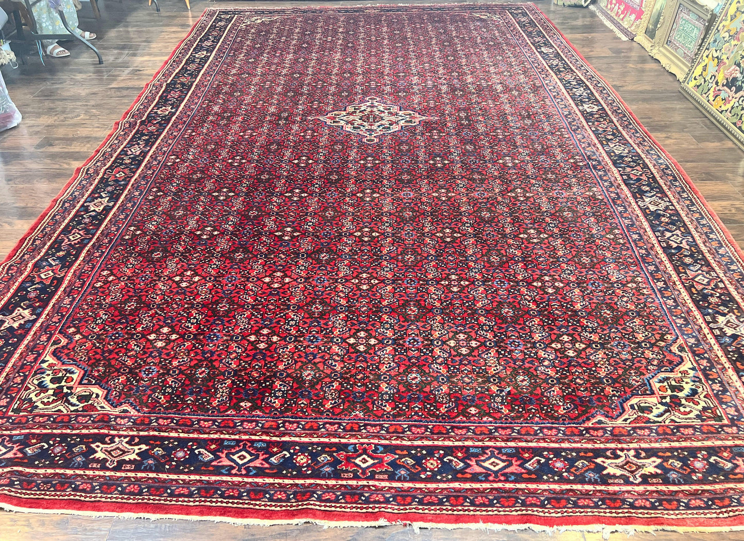 Persian Tribal Rug Hand Knotted Wool Palace Size 11x17 Red Hamadan Dargazin