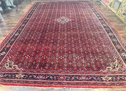 Persian Tribal Rug Hand Knotted Wool Palace Size 11x17 Red Hamadan Dargazin