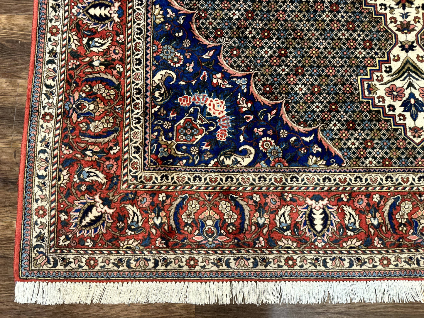 Persian Rug 7x10, Bakhtiari Saman Rug, Unique Design and Colors, Ivory Red Blue, Large Tribal Rug