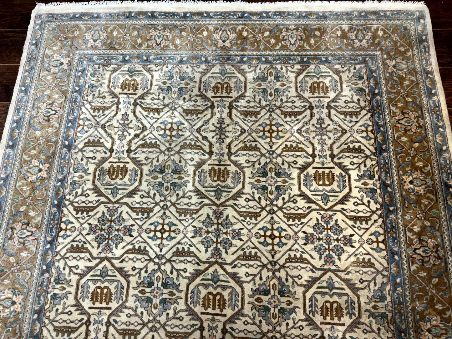 Indo Persian Rug 6x9, Beige, Allover Pattern, Vintage Wool Oriental Carpet