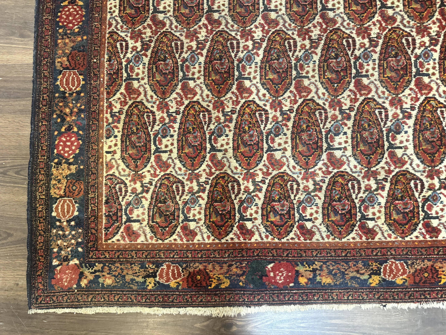 Senneh Rug Antique Persian Kurdish Hand Knotted 4.6 By 6.5 Repeated Paisley Boteh Design