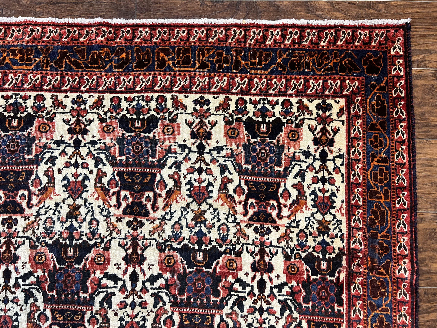 Persian Afshar Rug 6x8 Hand Knotted Wool Vintage Carpet With Floral Allover Motifs