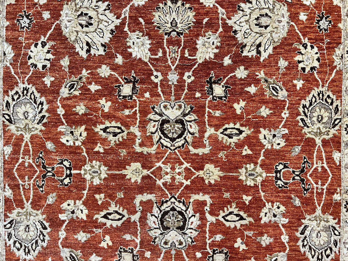 Pakistani Oriental Rug 6x9, Red, Floral Allover, Handmade Wool Rug, Peshawar Chobi Rug, Pak Persian Carpet 6 x 9