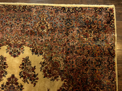 Karastan Kirman Rug 781 Antique Oriental Wool Area Rug 8.8 By 12 Feet