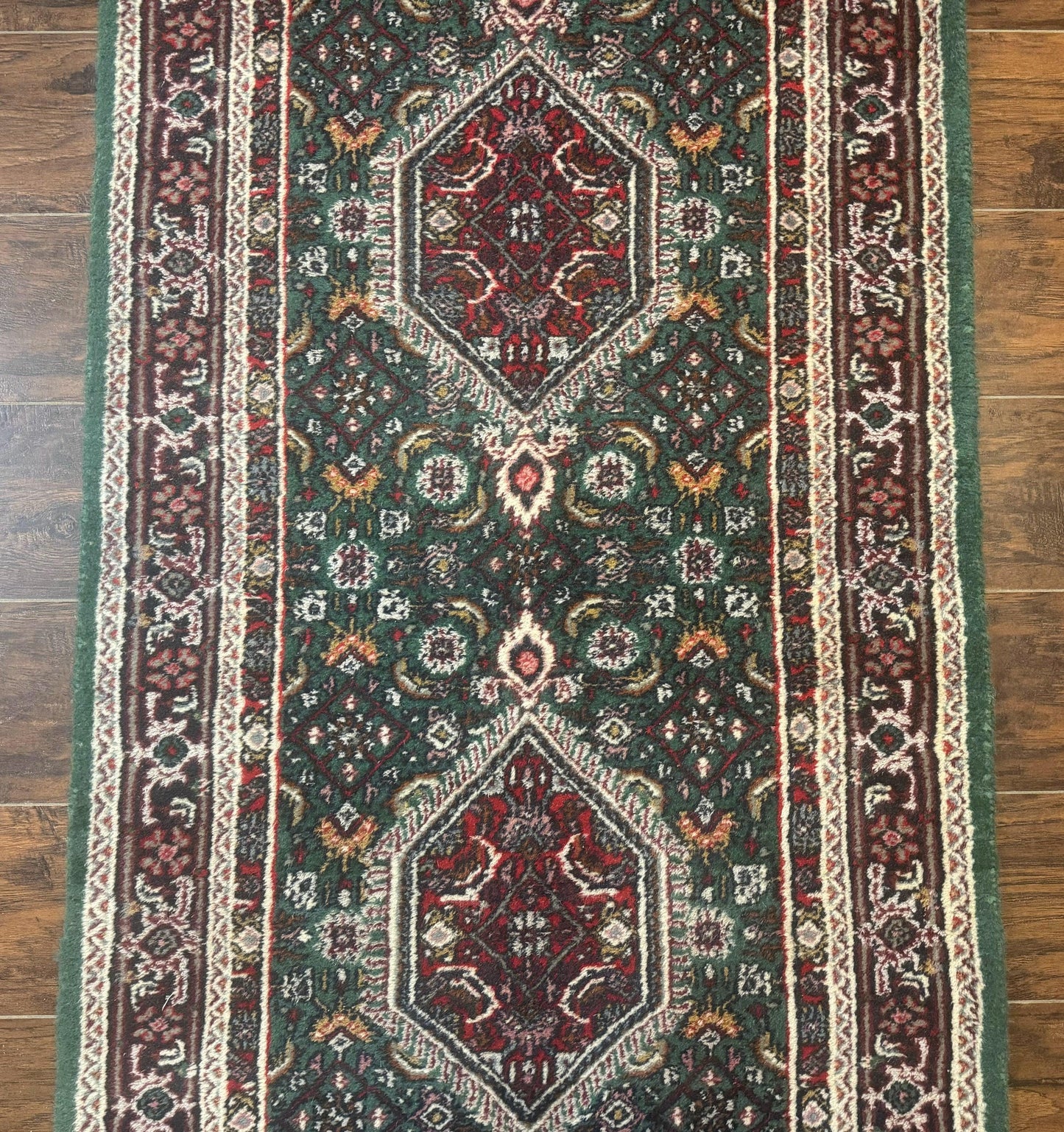 Green Indo Persian Bidjar Runner Rug 3x10, Green and Red