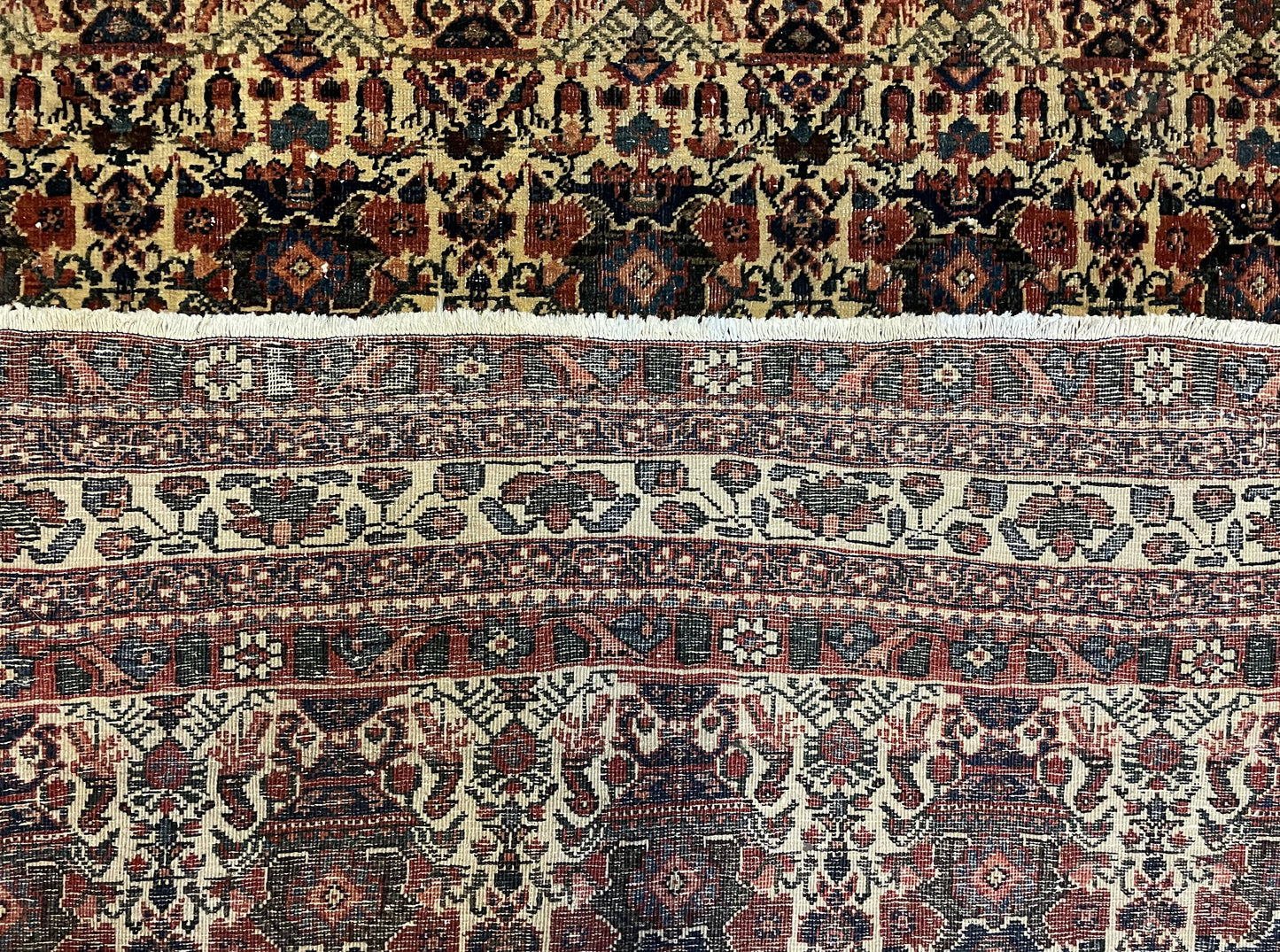 Persian Afshar Rug Wool Hand Knotted 5x7