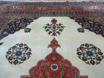 Indo Persian Rug 9x12 Hand Knotted Indian Oriental Wool Carpet Ivory Tomato Red Navy