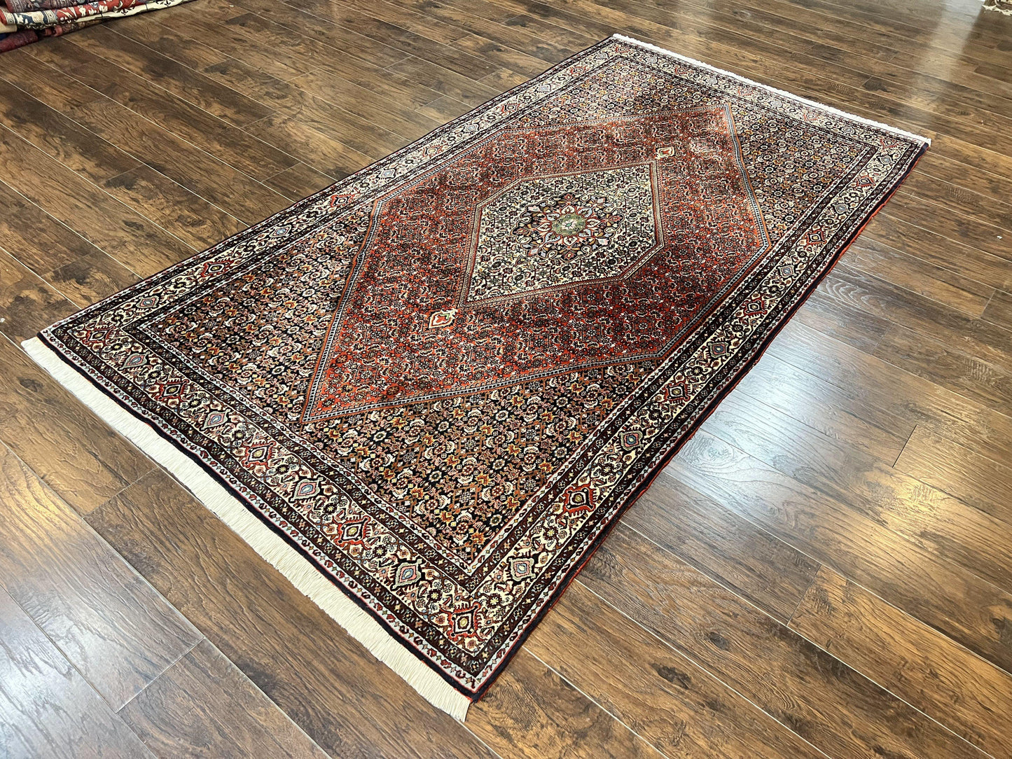 Persian Bidjar Rug 5x10 Hand Knotted Wool Vintage Carpet Mahi Herati Pattern