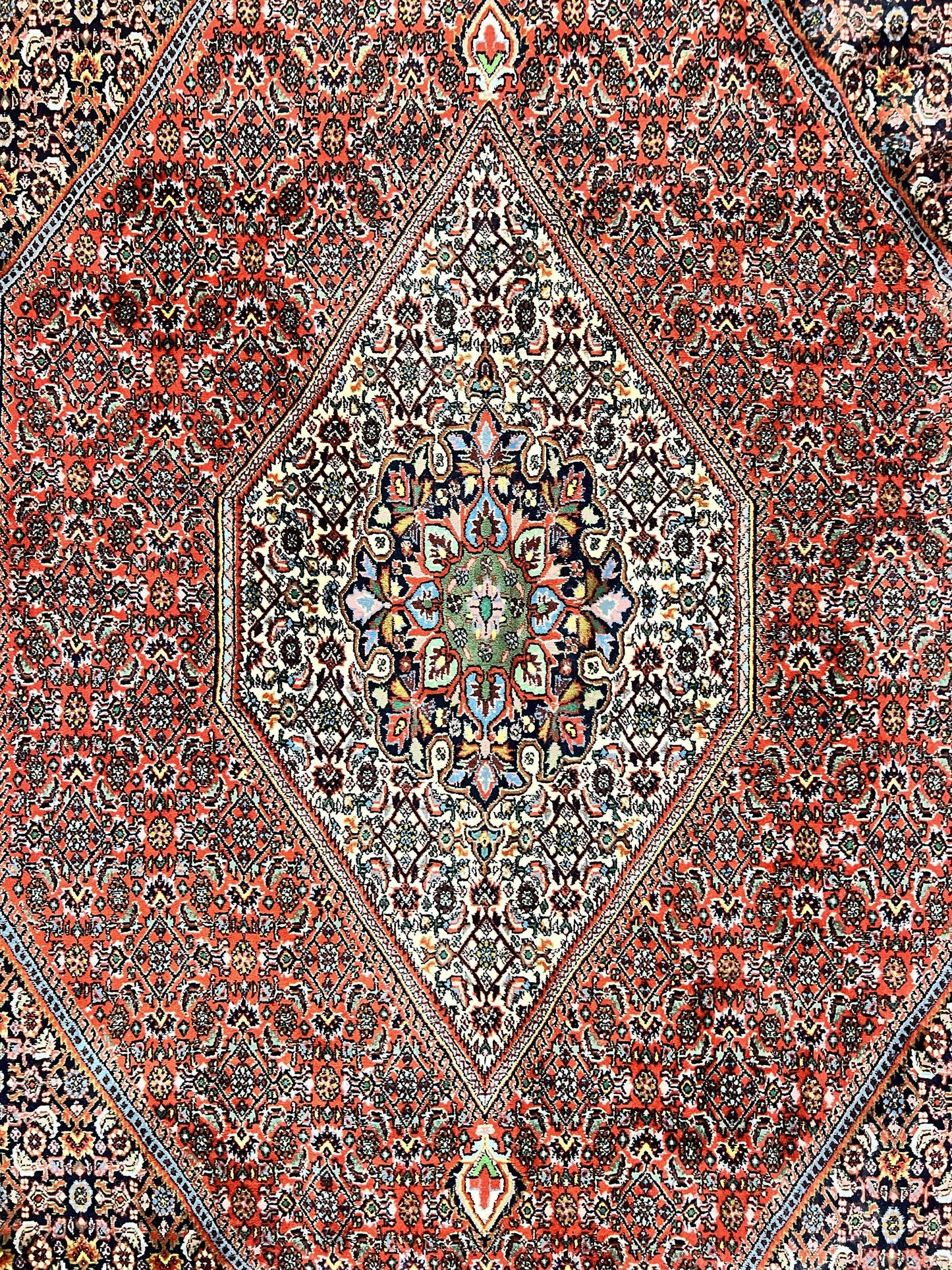 Persian Bidjar Rug 5x10 Hand Knotted Wool Vintage Carpet Mahi Herati Pattern