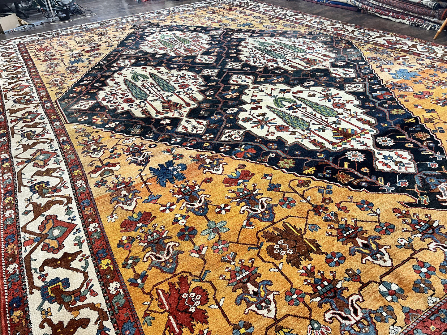 Antique Persian Bakhtiari Rug 14x19 Hand Knotted Wool Carpet Rare Palace Size