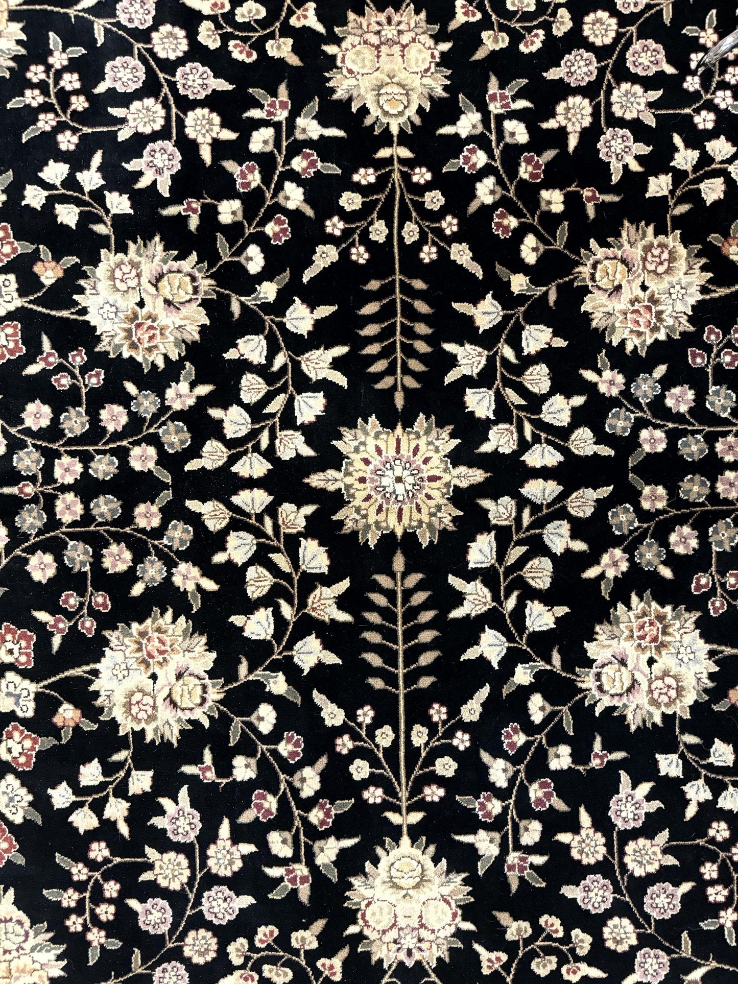 Pak Persian Rug 10x13