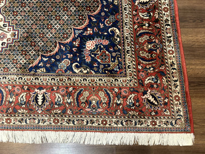 Persian Rug 7x10, Bakhtiari Saman Rug, Unique Design and Colors, Ivory Red Blue, Large Tribal Rug