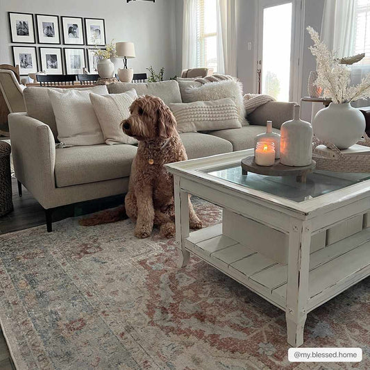 Washable Flat Pile Area Rug - Soft Durable Modern Home Decor