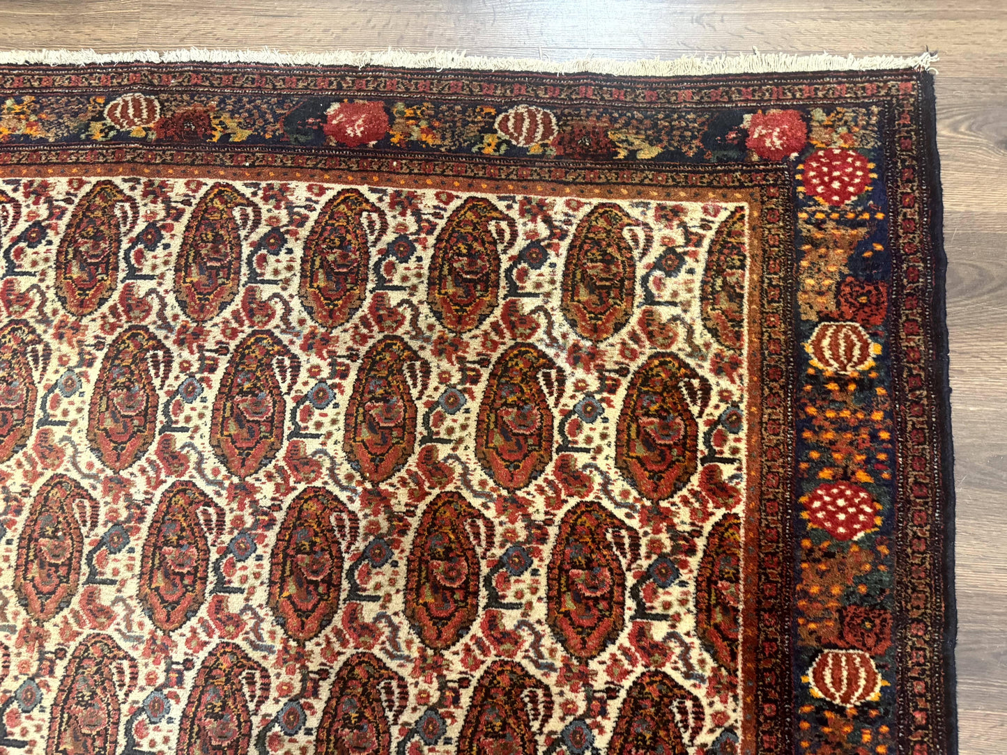 Senneh Rug Antique Persian Kurdish Hand Knotted 4.6 By 6.5 Repeated Paisley Boteh Design