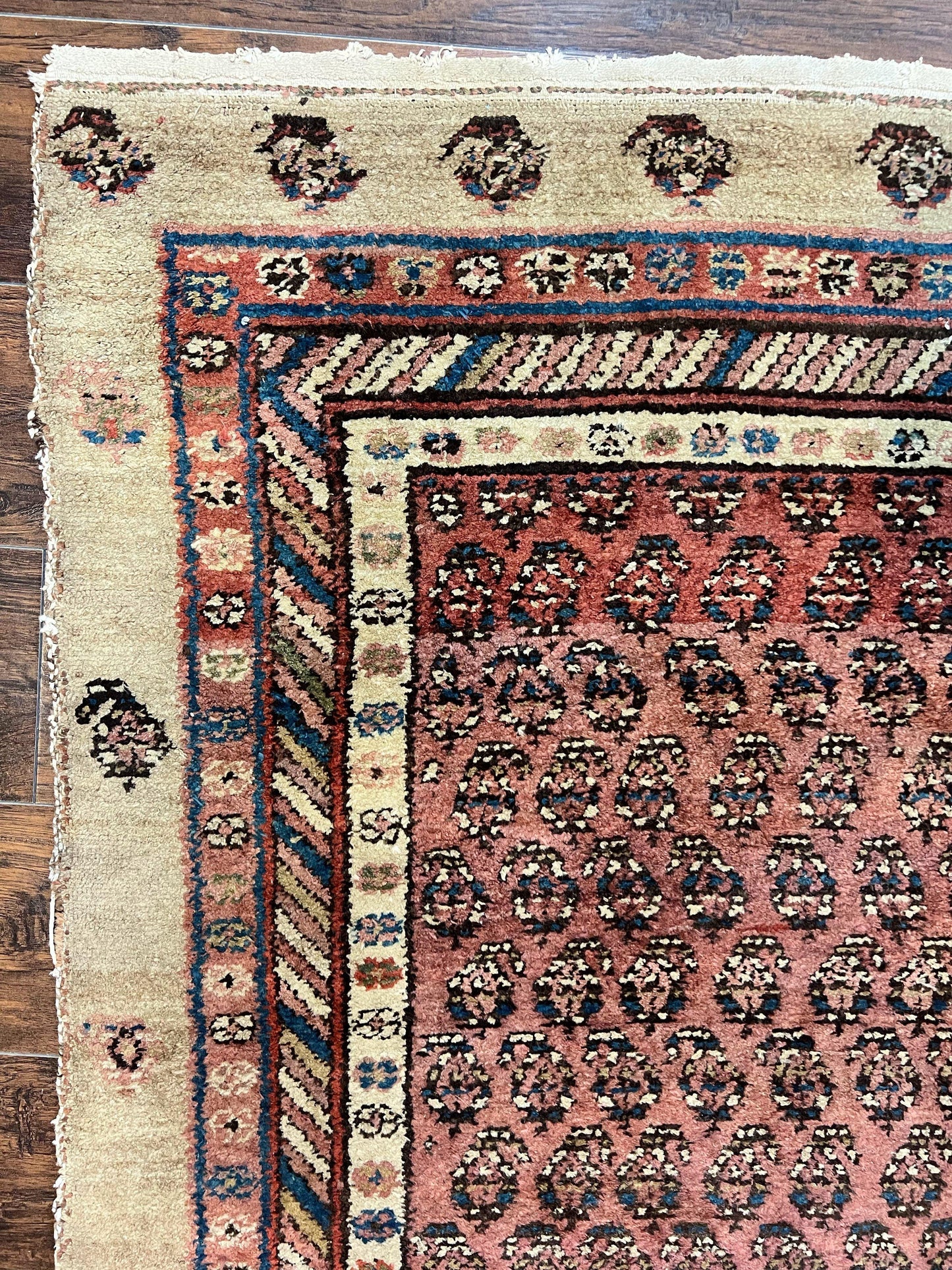 Antique Persian Sarab Runner Rug 3x11, Wool Camel Hair, Tribal Carpet for Hallway 3 x 11, Antique 1920s Rug, Handmade