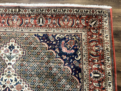 Persian Rug 7x10, Bakhtiari Saman Rug, Unique Design and Colors, Ivory Red Blue, Large Tribal Rug