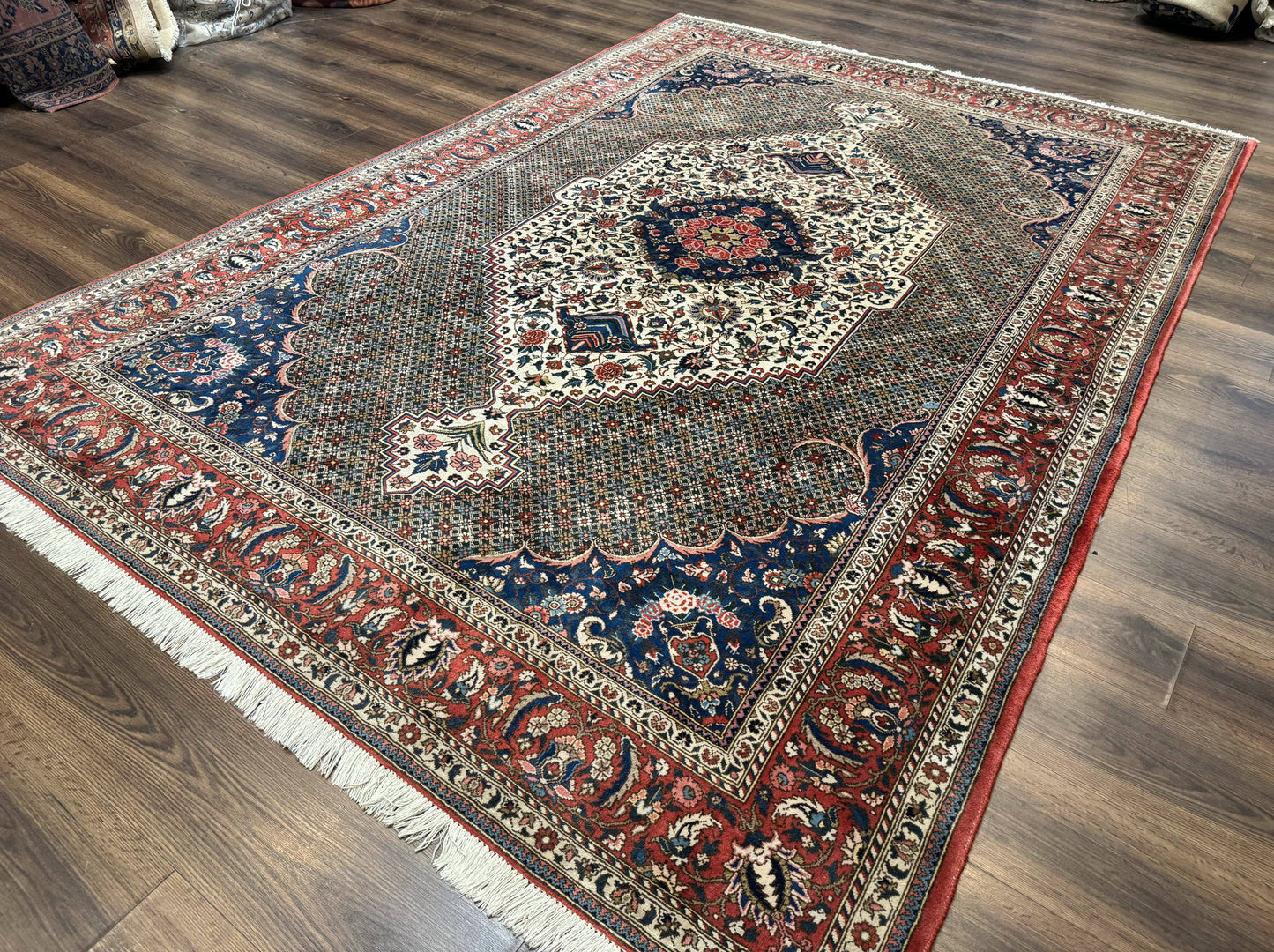 Persian Rug 7x10, Bakhtiari Saman Rug, Unique Design and Colors, Ivory Red Blue, Large Tribal Rug