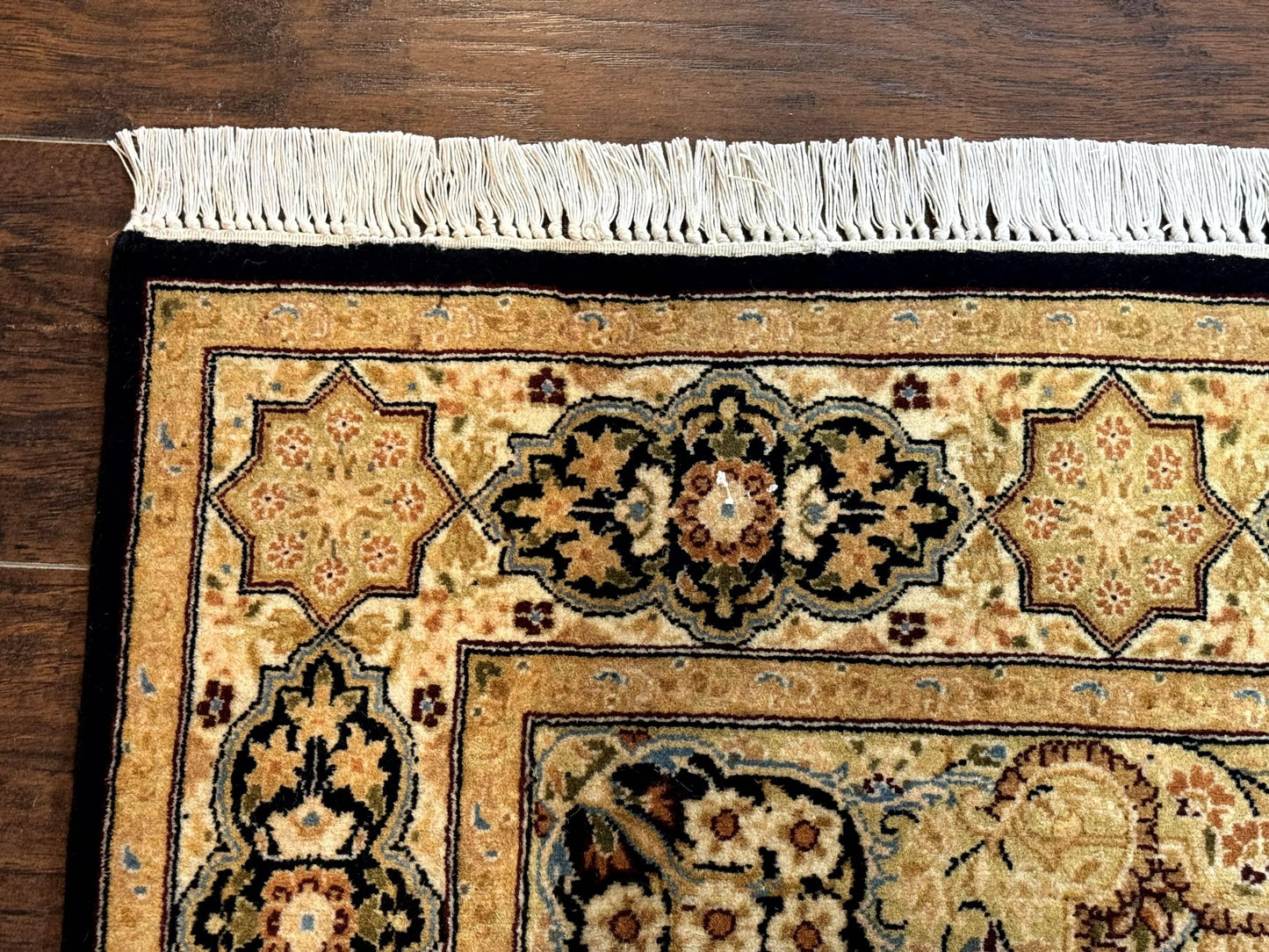 Pak Persian Rug 4x6 Hand Knotted Wool Panel Design Vintage Handmade Area Rug