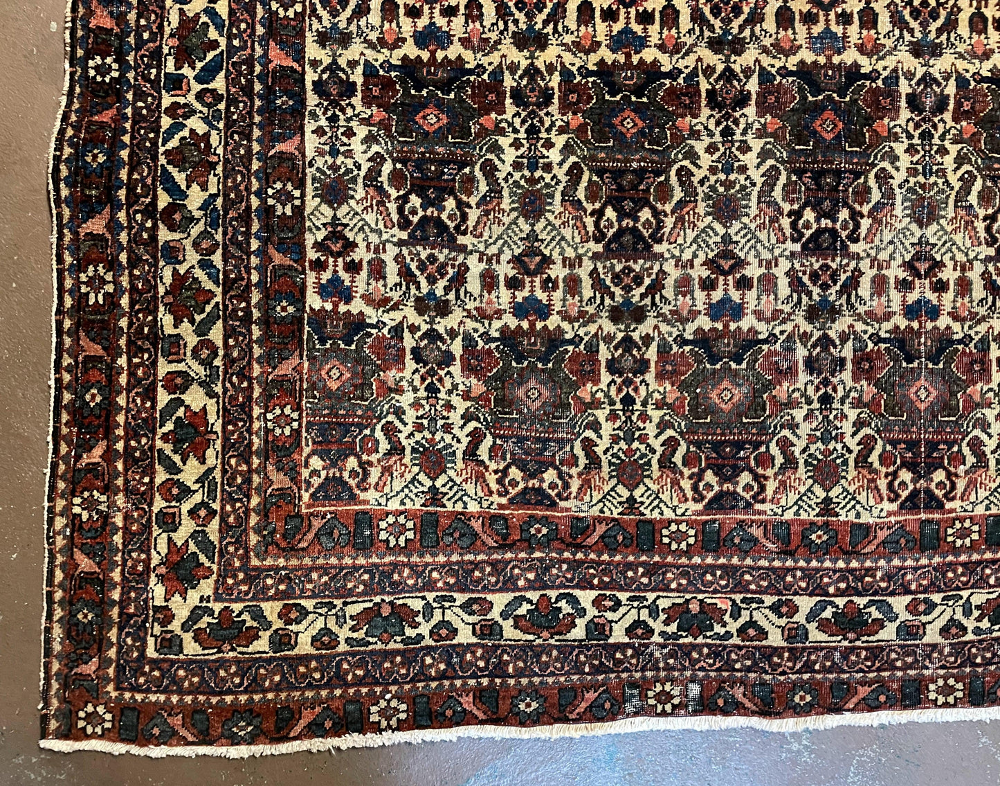 Persian Afshar Rug Wool Hand Knotted 5x7