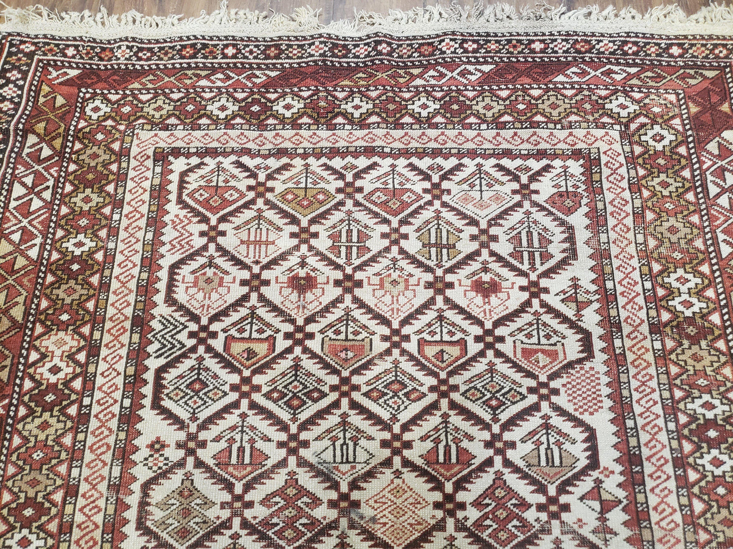 Antique Shirvan Rug 4x6 Dagestan Wool Hand Knotted Soft Red Ivory Oriental Carpet